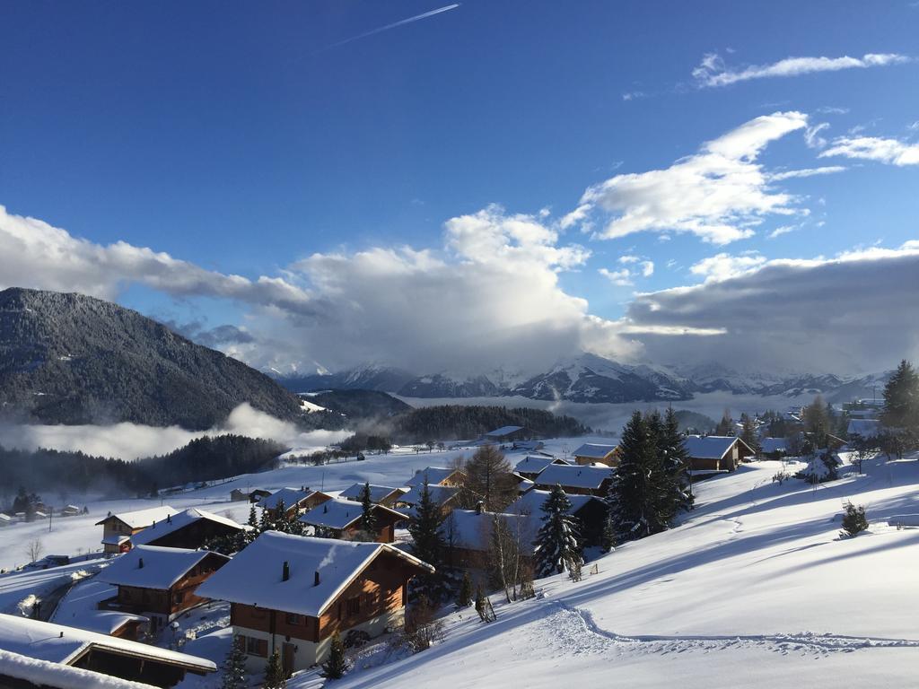 La Petite Silene Apartment Leysin Room photo